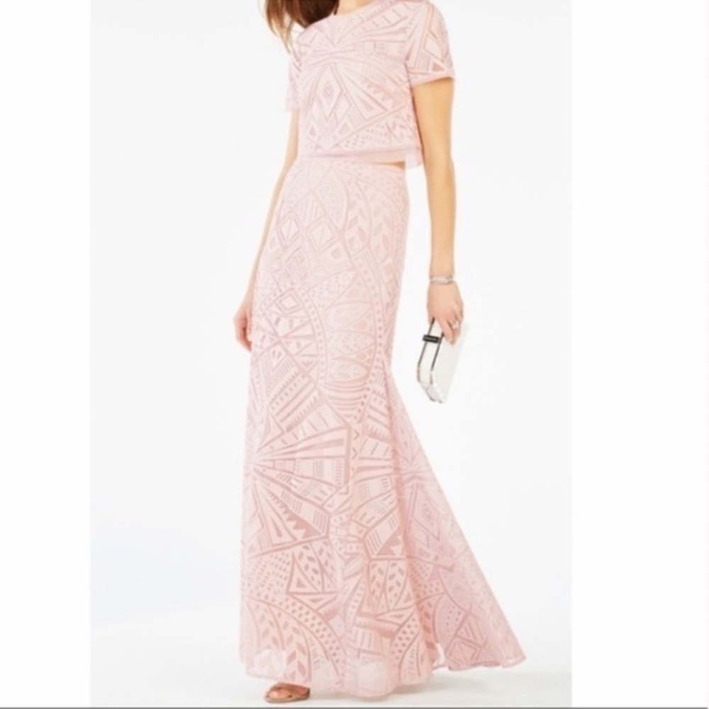 BCBG Maris Burnout Maxi Skirt